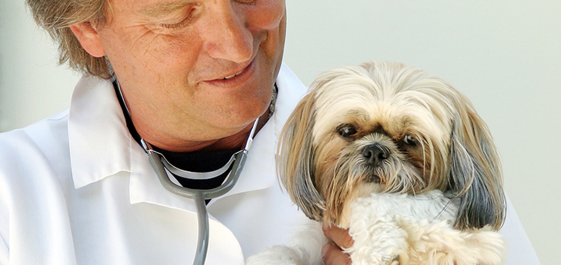 โภชนาการของลูกสุนัข vs เด็กทารก