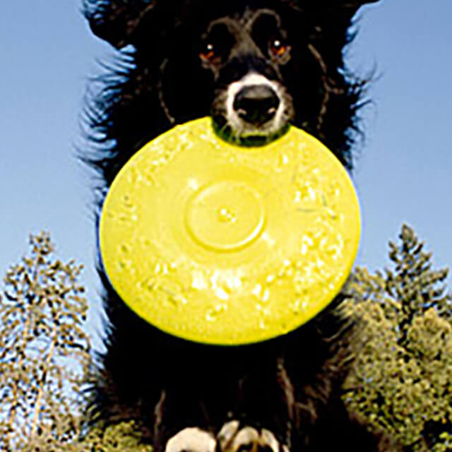 อ่านฉลากกันก่อน! มาดูกันว่า ผลิตภัณฑ์อาหารสุนัข เพดดิกรี ® มีส่วนผสมของอะไรบ้าง?