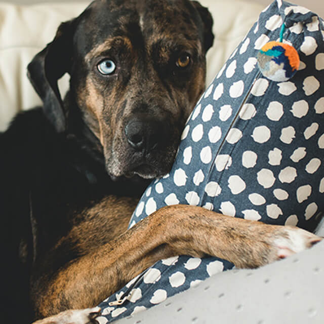 ปัญหาเรื่องการขับถ่าย