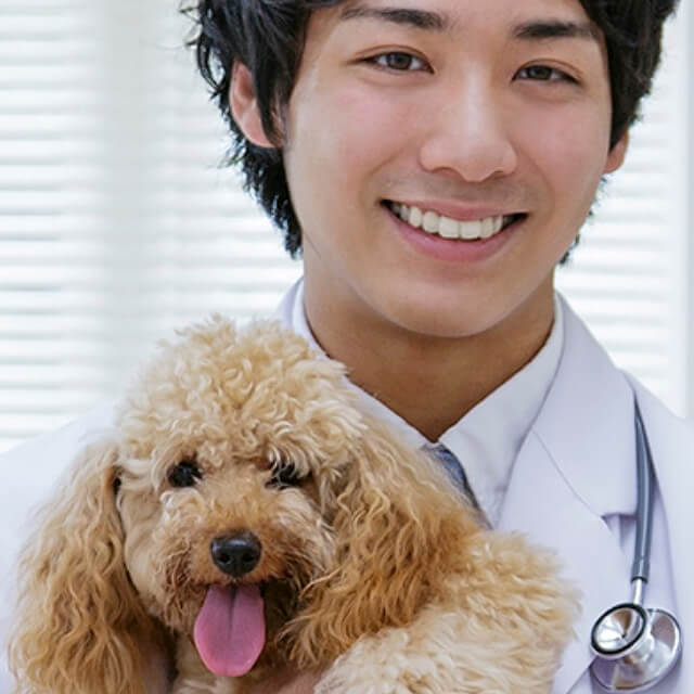 ลูกสุนัขของคุณกำลังป่วยอยู่หรือไม่นะ?