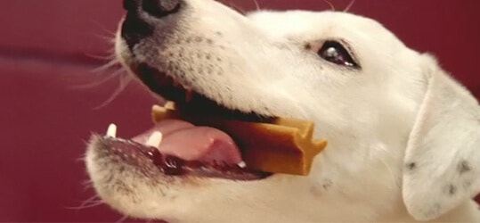 feeding landing mobile