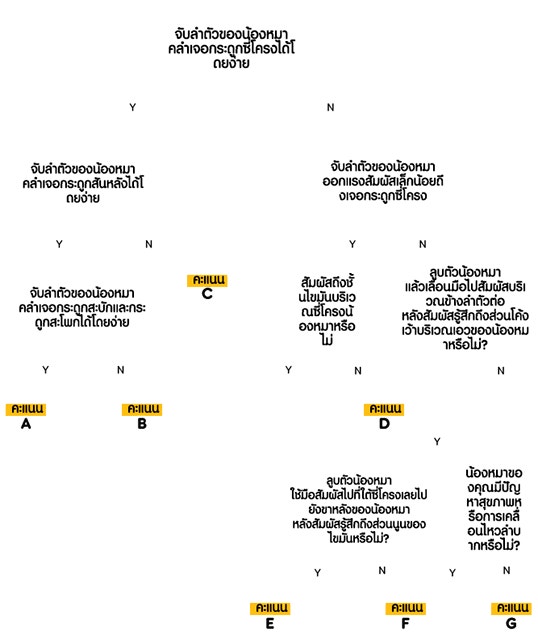 healty weight management