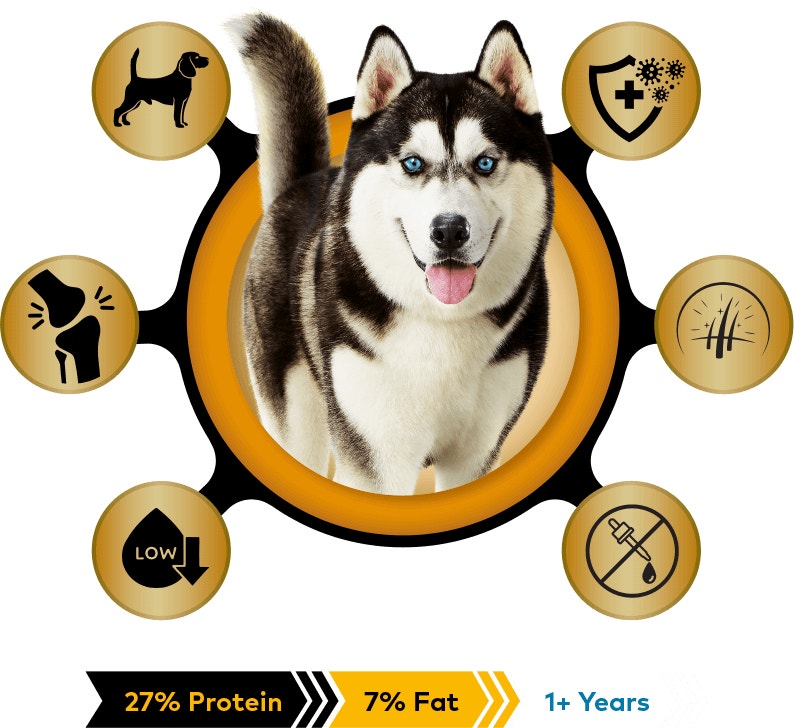 Adult keep up with your