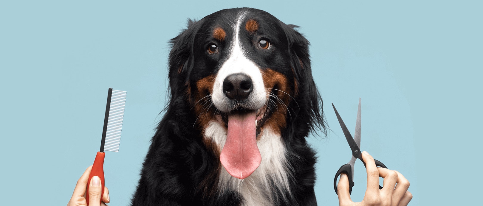 ประโยชน์ของโปรตีนที่มีต่อสุขภาพผิวหนังและเส้นขน