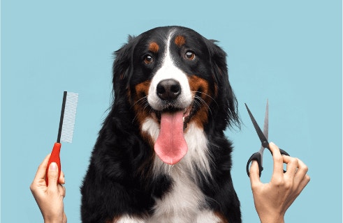 ประโยชน์ของโปรตีนที่มีต่อสุขภาพผิวหนังและเส้นขน