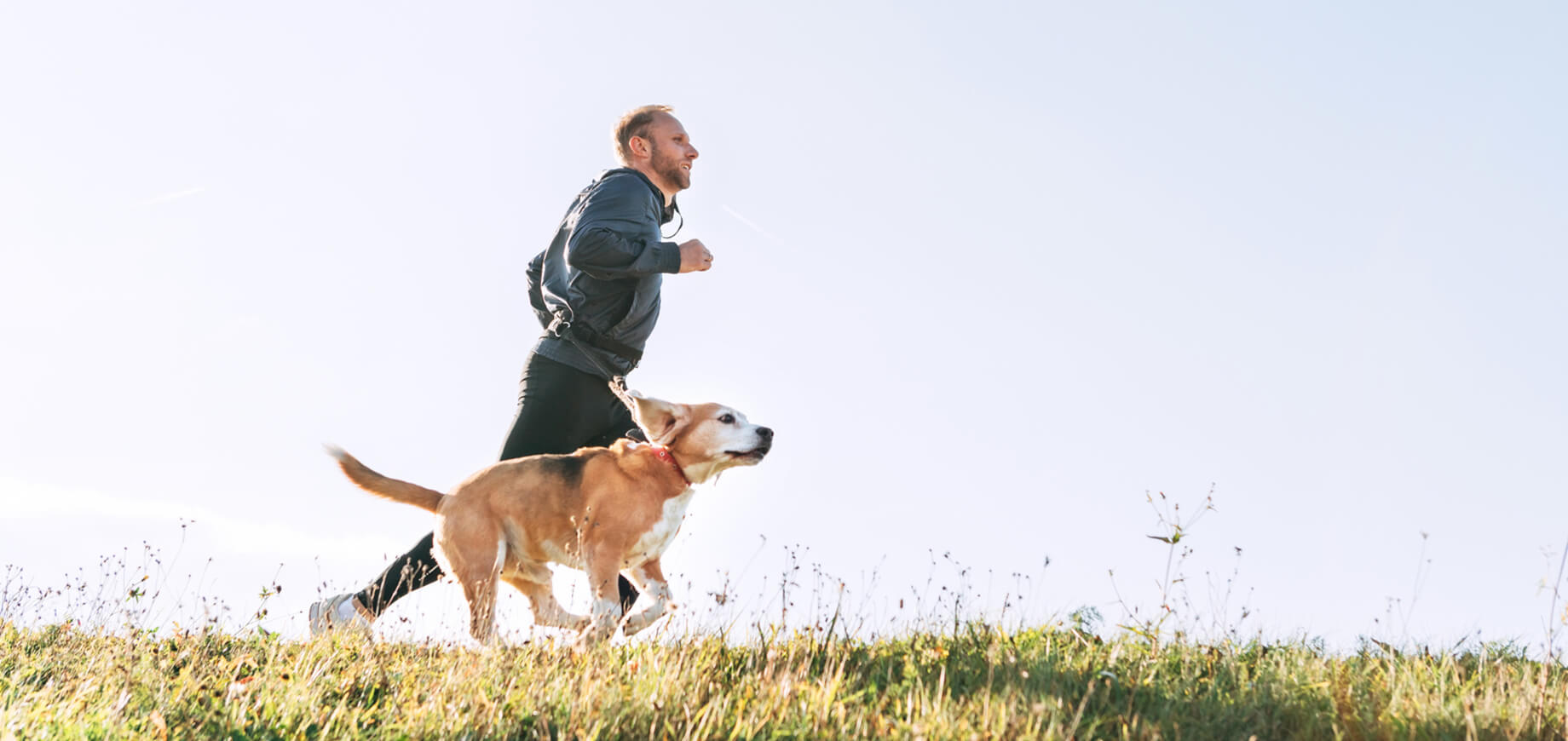 การกำหนดตารางกิจวัตรประจำวันสำหรับลูกสุนัข