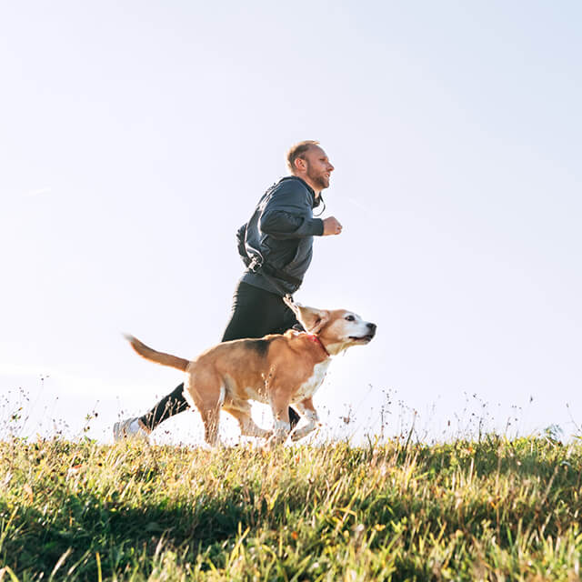 การกำหนดตารางกิจวัตรประจำวันสำหรับลูกสุนัข