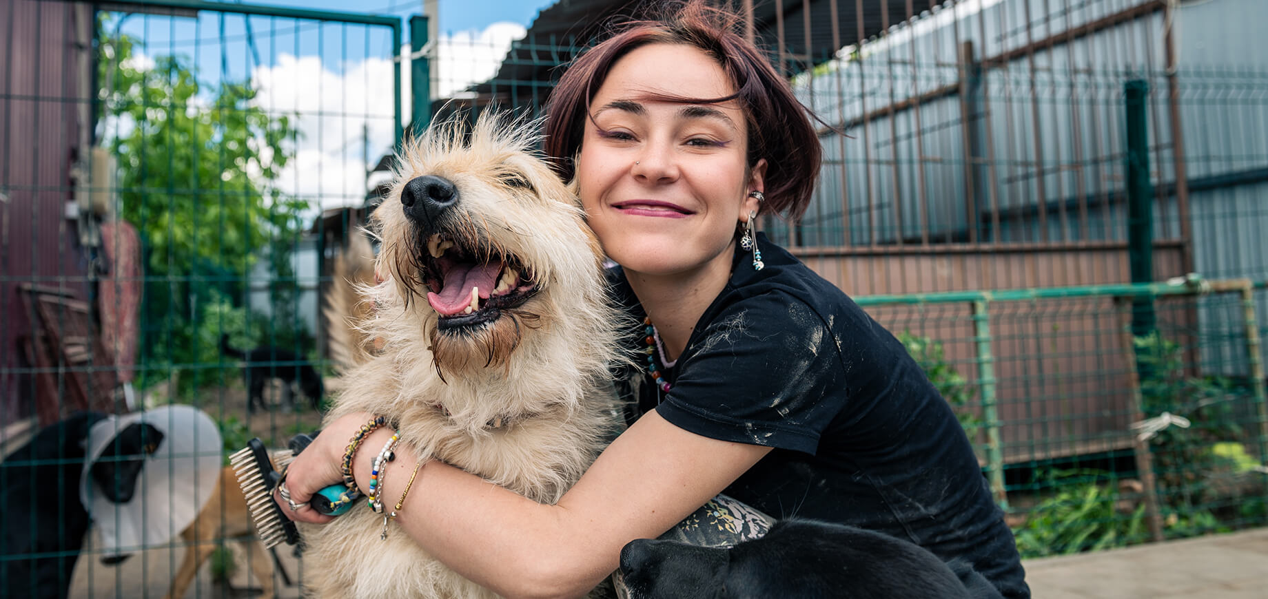 การรับเลี้ยงสุนัขตัวใหม่ : เทคนิคพิเศษสำหรับมือใหม่