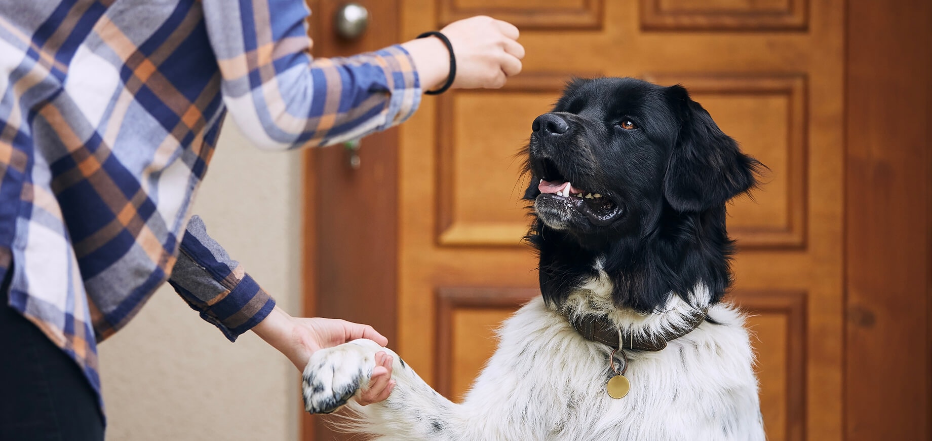 5 สเตปง่าย ๆ ฝึกลูกสุนัขเข้ากรง